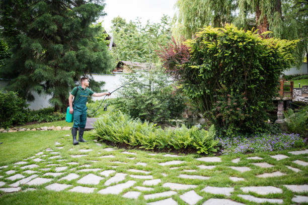 Best Pest Removal Services  in South Dennis, NJ